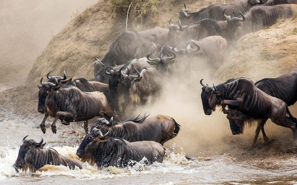 8 Days Tanzania Migration Safari