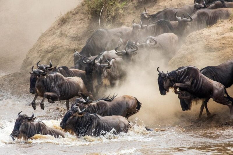 8 Days Tanzania Migration Safari
