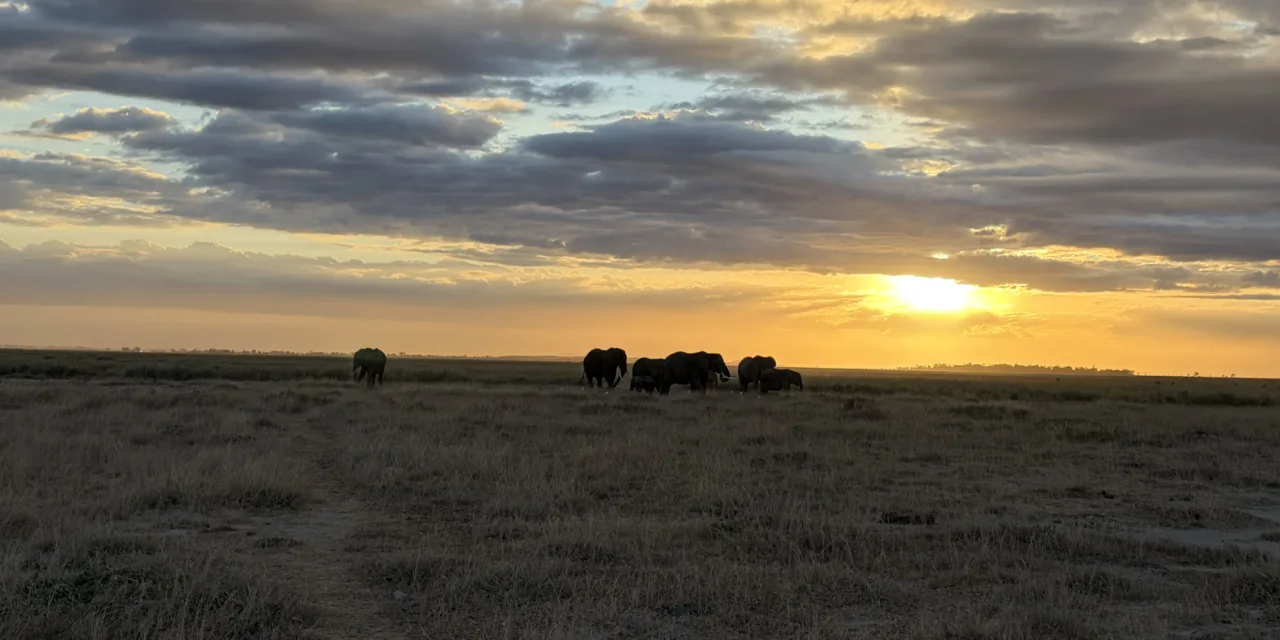 East Africa Safari Cost Calculator: What a 7-Day Kenya & Tanzania Trip Really Costs in 2026